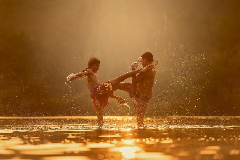 Traditional Martial Arts